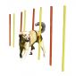 Preview: Agility Komplett Set (Reifen, Hürden, Slalom)